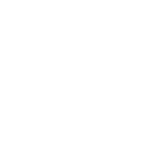 Regal Beagle